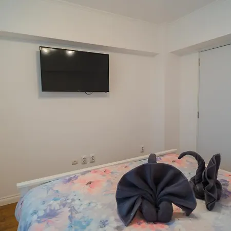 Cozy & Spacious 2br With Netflix * Bucharest
