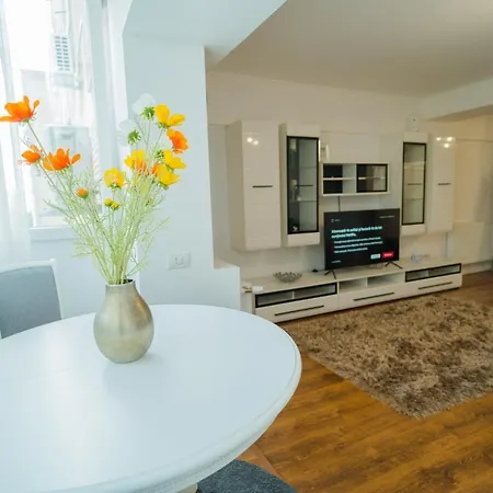 Cozy & Spacious 2br With Netflix * Bucharest